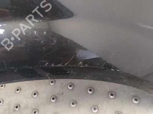 Right front fenders RENAULT MEGANE II (BM0/1_, CM0/1_)  | BP7220552C42 