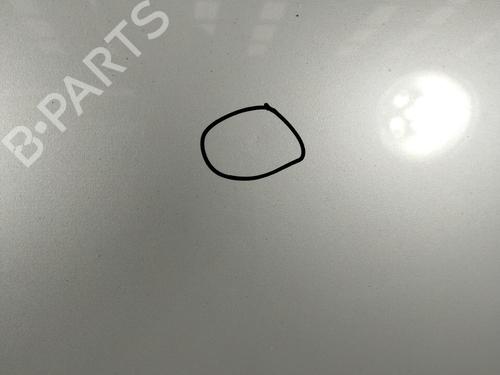 Hood VW POLO III (6N1)  | BP15910479C1 