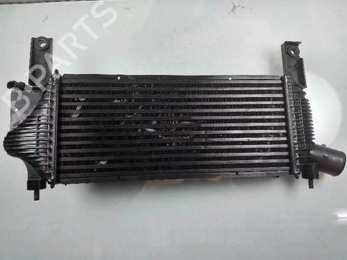 Intercooler NISSAN NAVARA NP300 (D40) | BP4858876M30 - Image 2