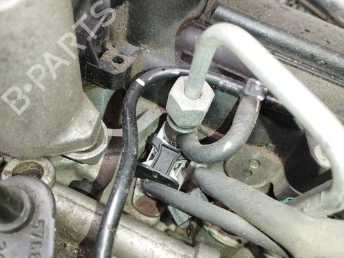 Engine RENAULT CLIO III (BR0/1, CR0/1) 1.5 dCi (BR17, CR17) | BP29725431M1