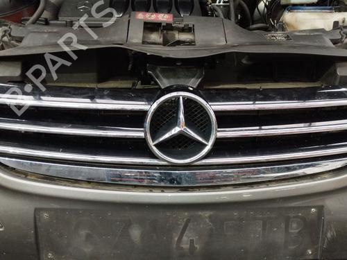 Used Grille Grille MERCEDES-BENZ A-CLASS (W169) A 160 CDI (169.006, 169.306) (82 hp) 35793915 35793915