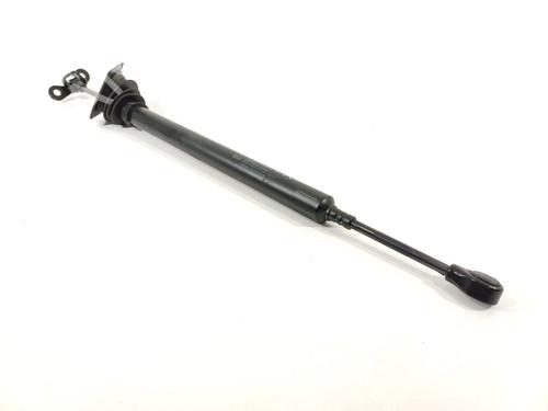 Hinge/Door check strap PORSCHE PANAMERA (970) 3.0 D | BP24497681C146 