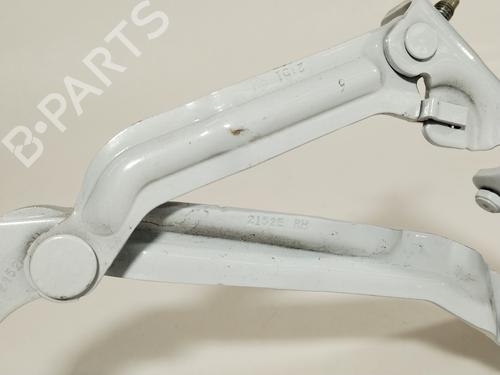 Hinge/Door check strap TESLA MODEL 3 (5YJ3) EV | BP36238596C146  - Image 5