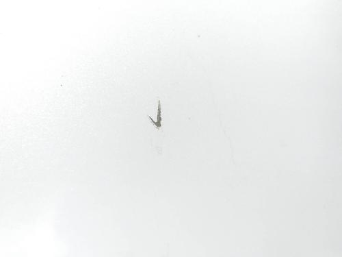 Left rear door KIA OPTIMA (JF) 1.6 CRDi | BP10345885C4