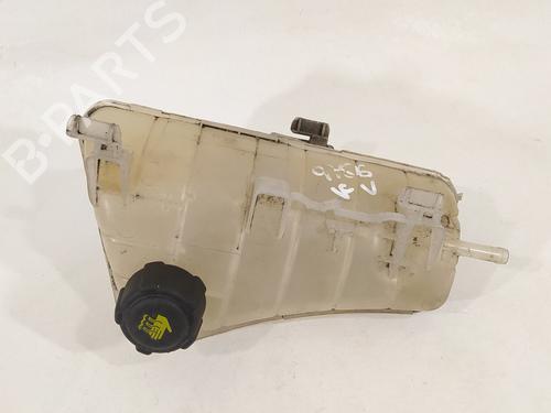 Expansievat RENAULT KANGOO / GRAND KANGOO II (KW0/1_) [2008-2025]  12254160