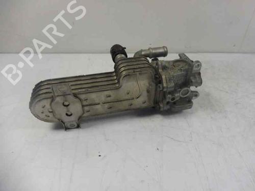 Egr SEAT LEON (1P1)  | BP6637982M69 