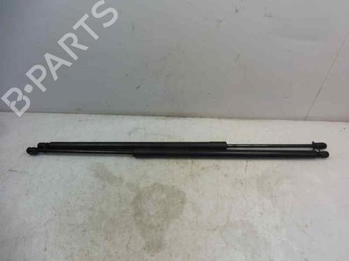 Used Tailgate lift support FORD KUGA II (DM2) [2012-2025]  14302707