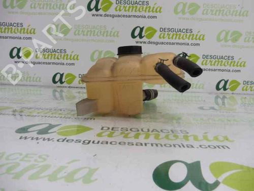 Expansion tank FORD FOCUS II (DA_, HCP, DP)  | BP1848678C120 