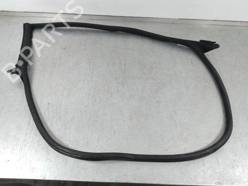 Rubber door seal AUDI A5 Sportback (F5A, F5F) 3.0 TDI quattro | BP25334356C142 