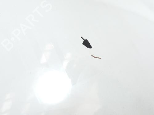 Hood FIAT DUCATO Van (250_) 115 Multijet 2,0 D | BP24935475C1