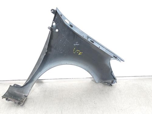 Left front fenders RENAULT CLIO III (BR0/1, CR0/1) 1.5 dCi (BR17, CR17) | BP31753730C41 