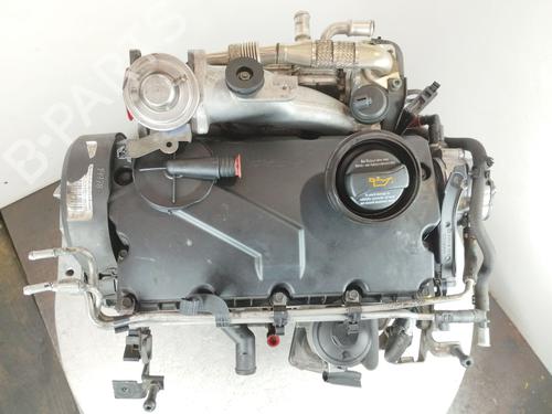Engine VW GOLF V (1K1) 1.9 TDI | BP29877452M1