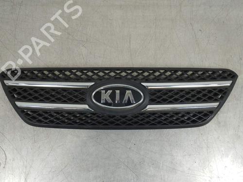 Used Grille Grille 12254423 12254423