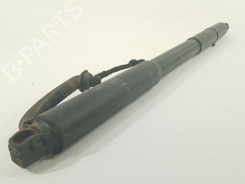 Tailgate lift support BMW 3 Touring (F31) 320 d | BP27241951C138 
