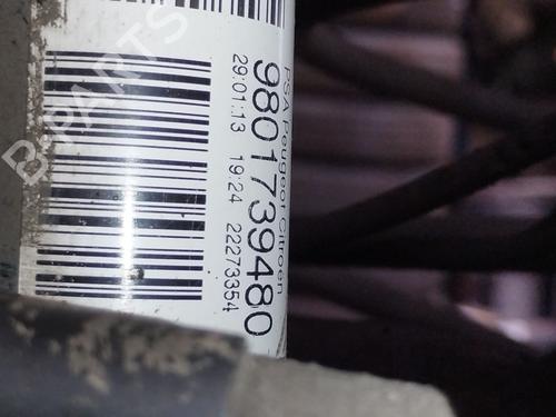 Left rear shock absorber CITROËN C3 II (SC_) 1.4 VTi 95 | BP37460030M18 - Image 2