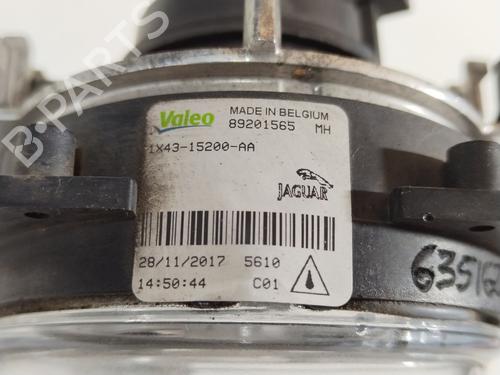 Right front fog light JAGUAR X-TYPE I (X400) 2.0 D | BP30169922C31