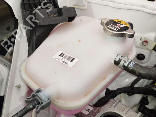 Used Expansion tank Expansion tank HYUNDAI KONA (OS, OSE, OSI) 1.0 T-GDi Hybrid 48V (120 hp) 40195294 40195294
