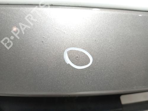 Front bumper RENAULT SCÉNIC III (JZ0/1_) 1.5 dCi | BP32163453C7 