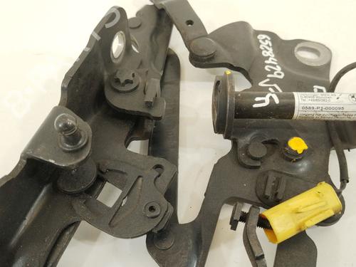 Hinge/Door check strap BMW 5 Touring (F11) 525 d xDrive | BP28125476C146