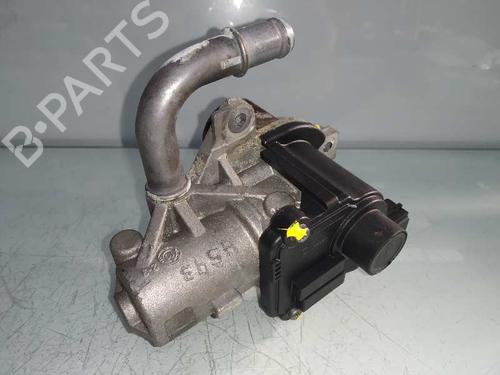 Egr NISSAN QASHQAI / QASHQAI +2 I (J10, NJ10, JJ10E)  | BP5849220M69 