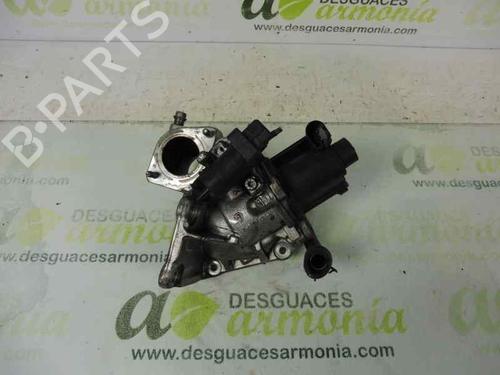 Egr RENAULT MEGANE III Hatchback (BZ0/1_, B3_) [2008-2024]  1842425