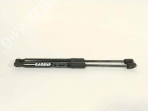 hood-lift-support-tesla-model-3-5yj3-2017-36238592 main image