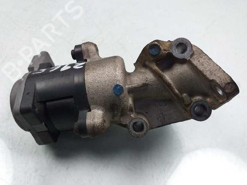 Egr LAND ROVER DISCOVERY III (L319)  | BP4893979M69 