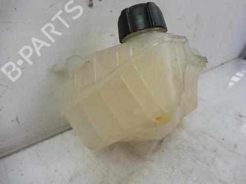 Expansion tank RENAULT KANGOO Express (FW0/1_)  | BP2677338C120 