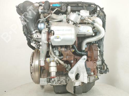 Used Engine Engine 36812409 36812409