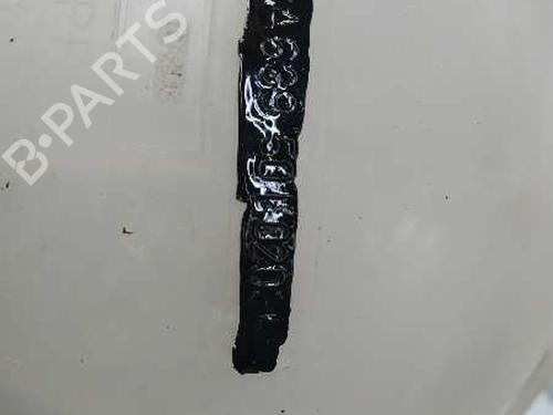 Expansion tank MERCEDES-BENZ VITO / MIXTO Van (W639)  | BP5582284C120