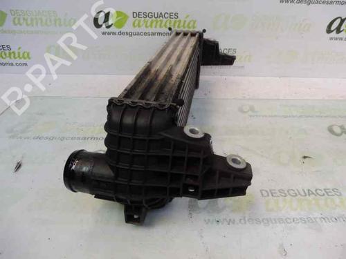 Intercooler FORD TOURNEO CONNECT  | BP12254764M30 