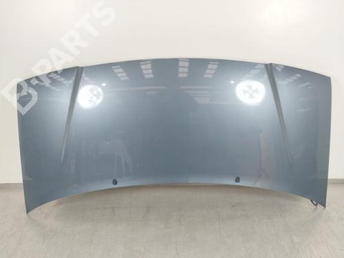 Used Hood Hood PEUGEOT EXPERT (224_) 2.0 HDI 16V (109 hp) 11173252 11173252