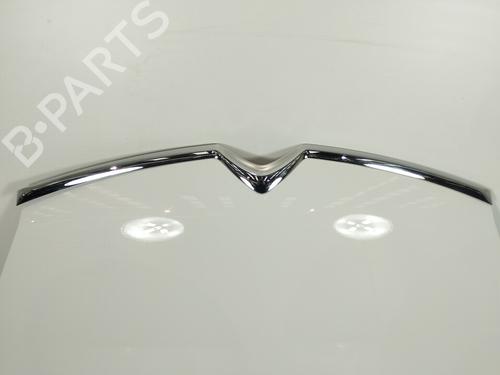 Hood CITROËN C4 Grand Picasso I (UA_) 1.6 HDi | BP10081459C1