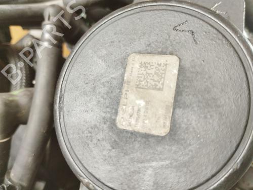 Engine FORD KUGA II (DM2)  | BP18724195M1 