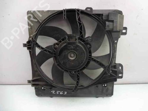 Køleventilator elektrisk PEUGEOT 207 (WA_, WC_) [2006-2015]  3127796
