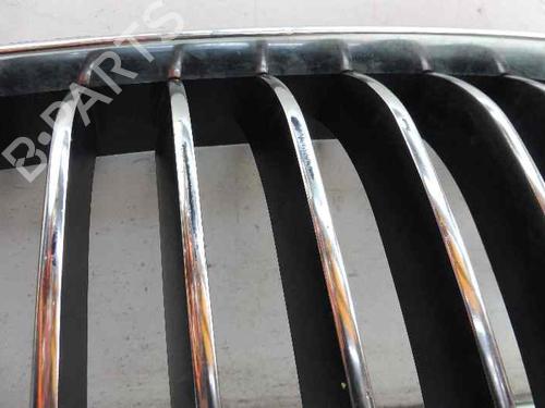 BP3348049C40 | Front grille BMW 5 Touring (F11) 520 d xDrive BP3348049C40