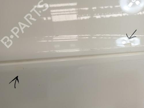 Left front door SMART CITY-COUPE (450)  | BP29892049C2