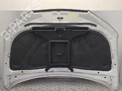 Hood HYUNDAI SANTA FÉ II (CM) 2.2 CRDi GLS 4x4 | BP1852135C1