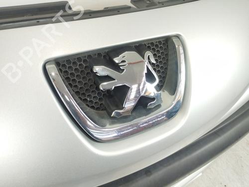Front bumper PEUGEOT 207 (WA_, WC_) 1.4 HDi | BP29400170C7 