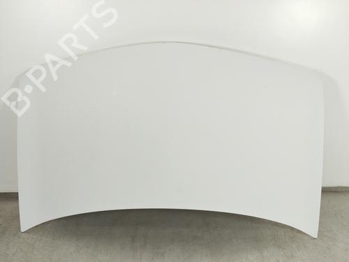Used Hood RENAULT MEGANE II Estate (KM0/1_) [2003-2012]  10696551