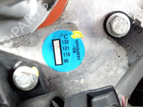 Engine RENAULT MEGANE III Hatchback (BZ0/1_, B3_) | BP29730074M1