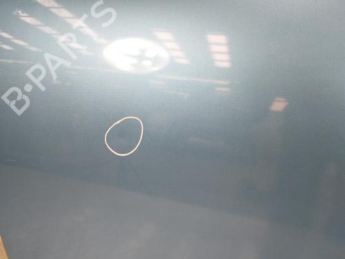 Left front door MINI MINI (R50, R53) Cooper S | BP7180552C2 