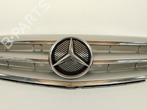 Used Grille MERCEDES-BENZ B-CLASS Sports Tourer (W245) B 200 CDI (245.208) (140 hp) 28143822