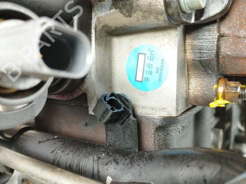 Engine VW GOLF V (1K1) 1.9 TDI | BP29877452M1