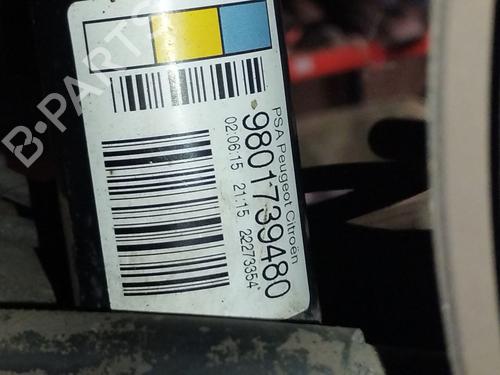 left-rear-shock-absorber-citroen-c3-ii-sc_-2009-38292577 main image