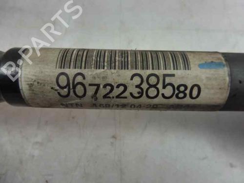 Left front driveshaft CITROËN C3 II (SC_)  | BP2670693M38 