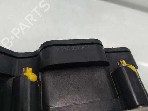 ABS pump SEAT IBIZA IV (6J5, 6P1)  | BP4850871M43 