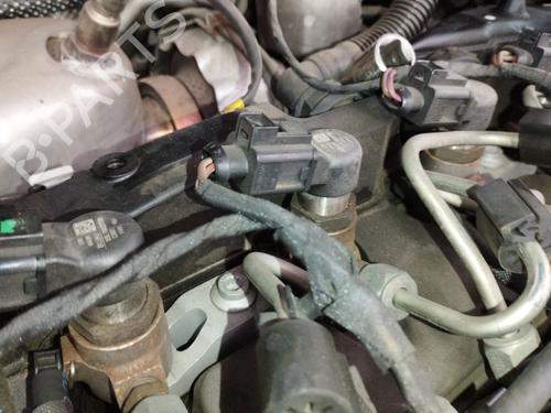 Engine VW POLO V (6R1, 6C1) 1.6 TDI | BP30135142M1