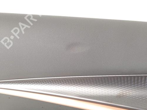 Front left panel CUPRA TAVASCAN (KR1) | BP36989612C58 - Image 4