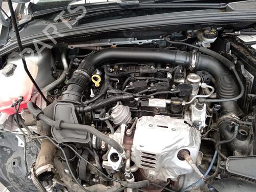 Motor für FORD FOCUS IV (HN) 1.0 EcoBoost (125 hp) 31164670